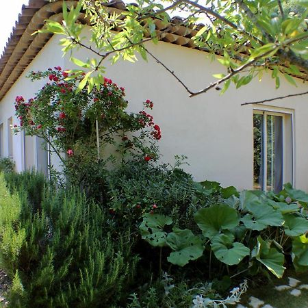 Le 275 Βίλα La Colle-sur-Loup Εξωτερικό φωτογραφία